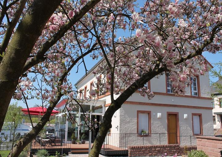 Cafe in der alten Schule